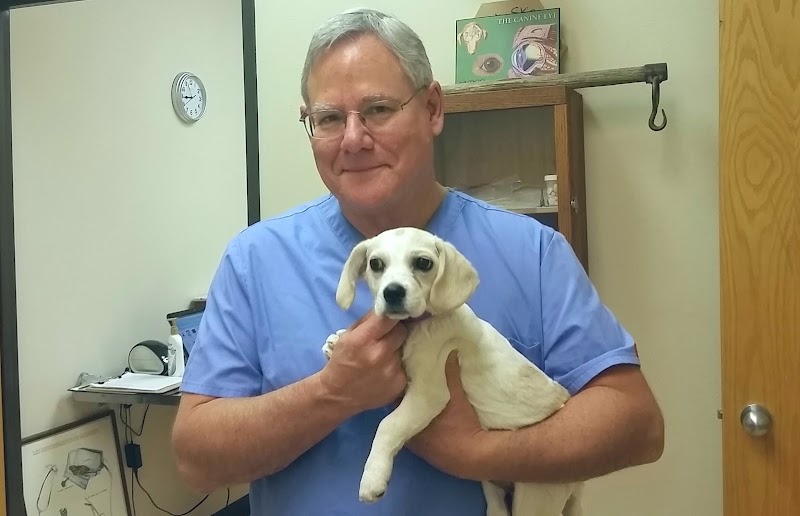 Valley Veterinary Hospital Denver