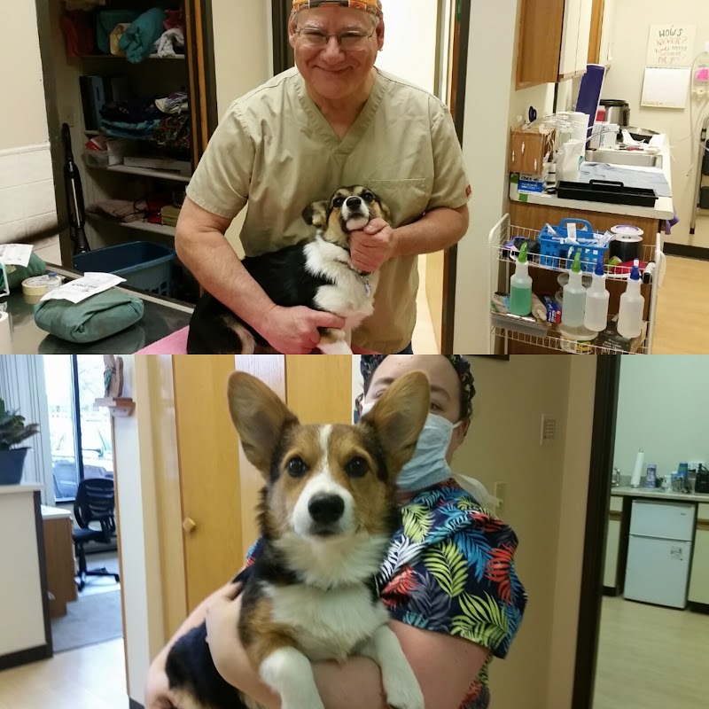 Valley Veterinary Hospital Denver