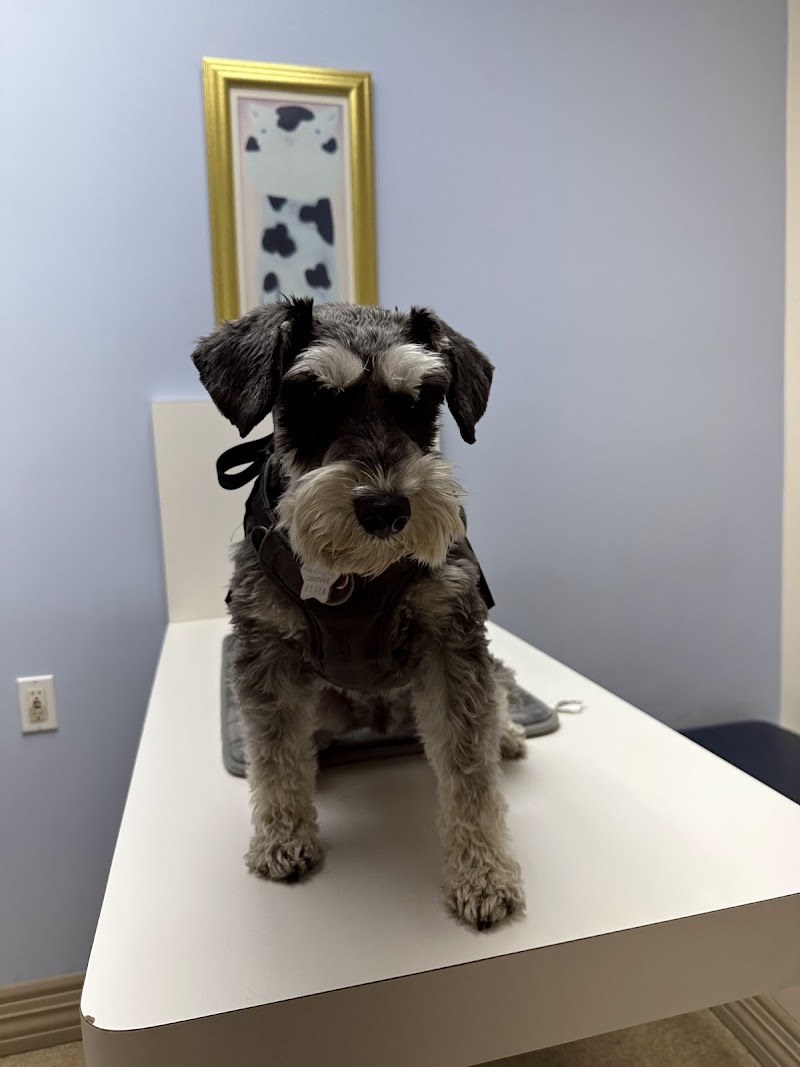 Cameron Veterinary Hospital