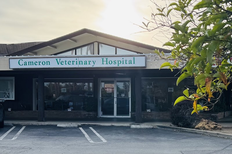 Cameron Veterinary Hospital - Sunnyvale