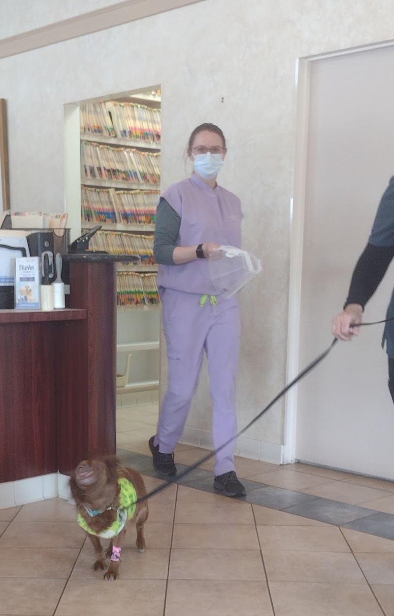Cameron Veterinary Hospital