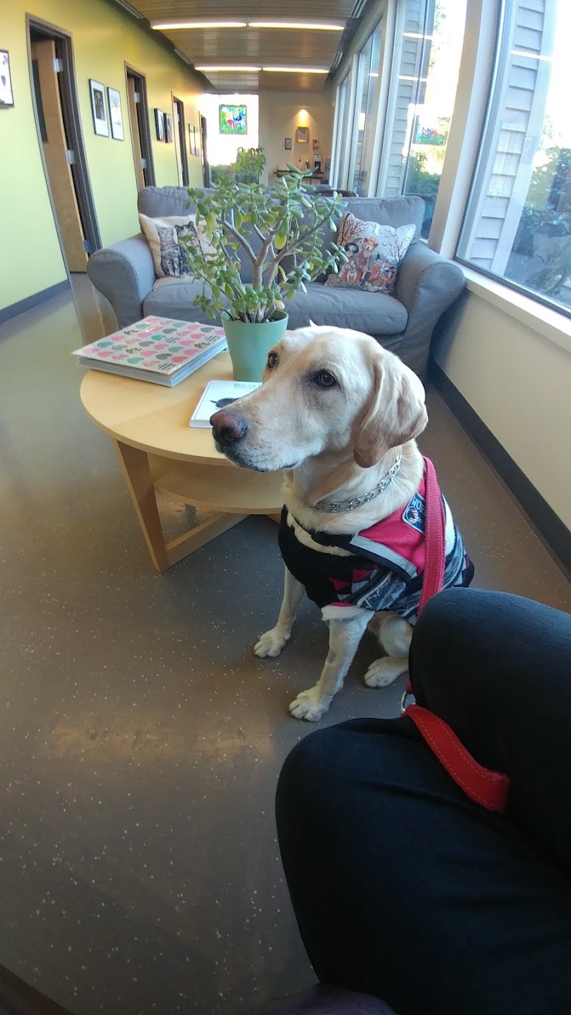 Veterinary Cancer & Surgery Specialists