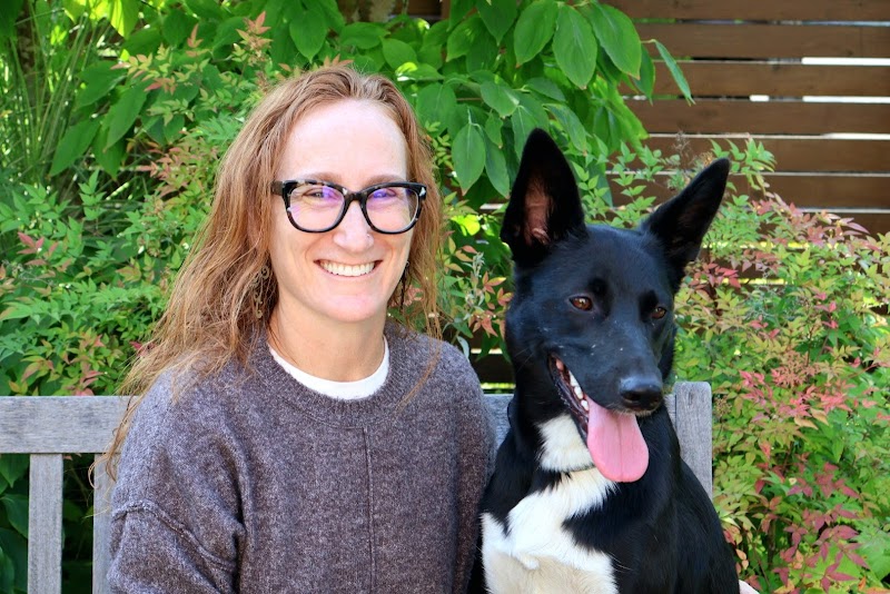 Veterinary Cancer & Surgery Specialists