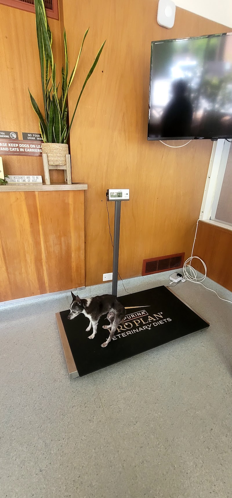 Ross Valley Veterinary Hospital
