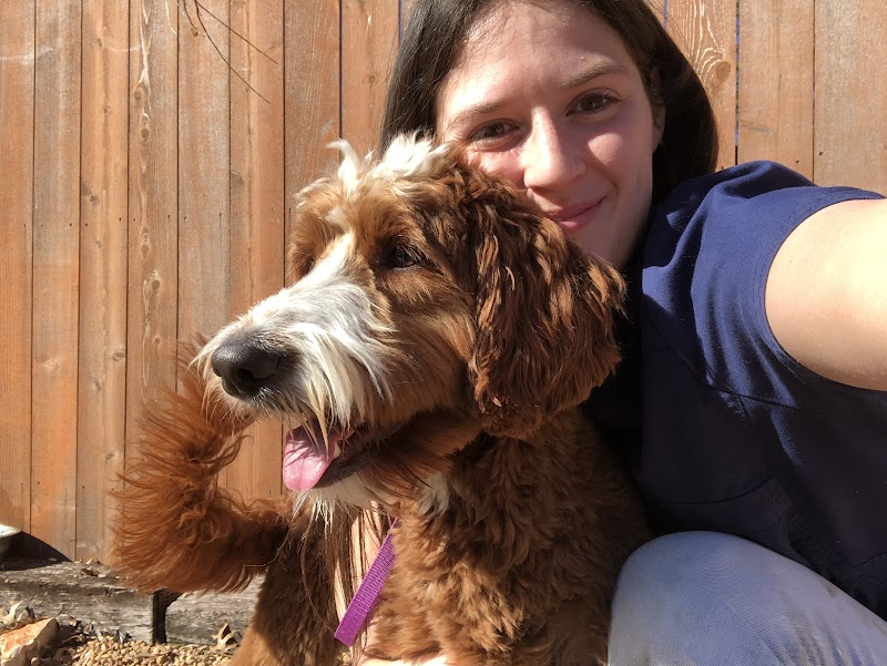Family Pet Hospital of Stone Oak