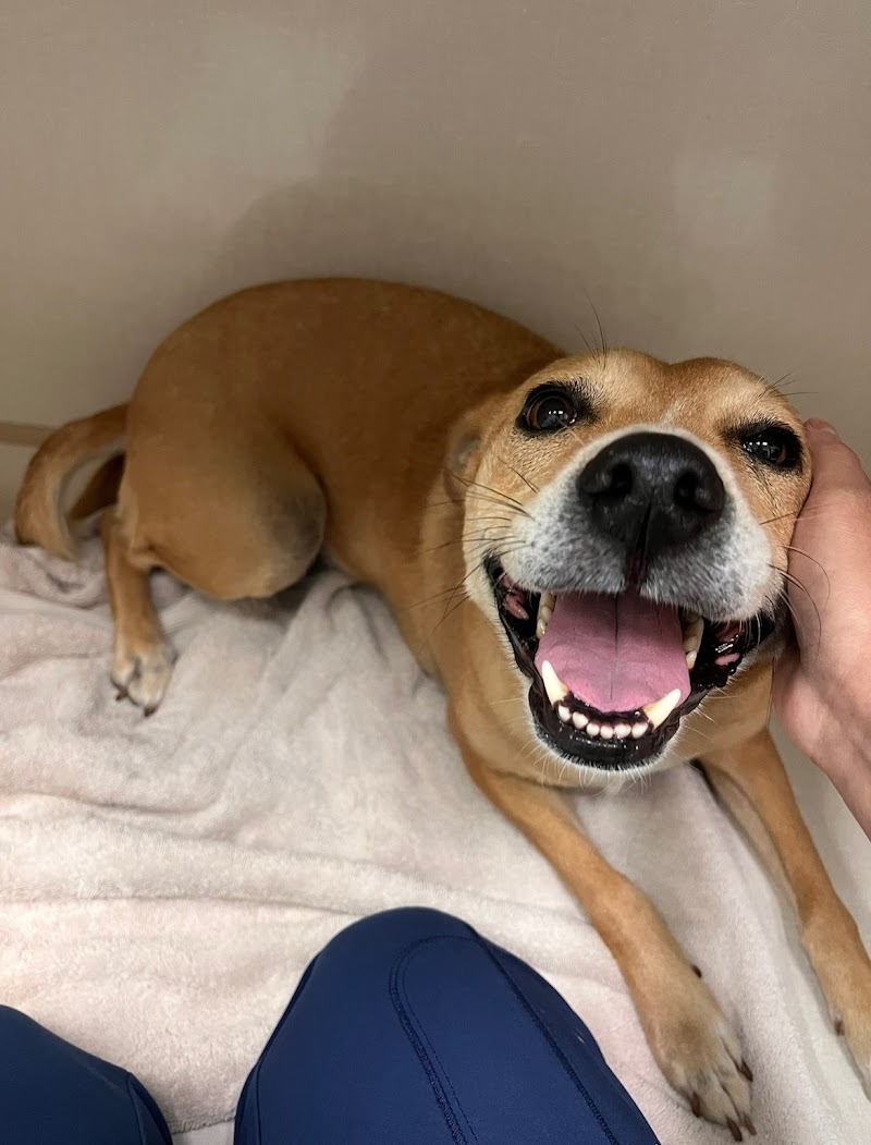 Family Pet Hospital of Stone Oak