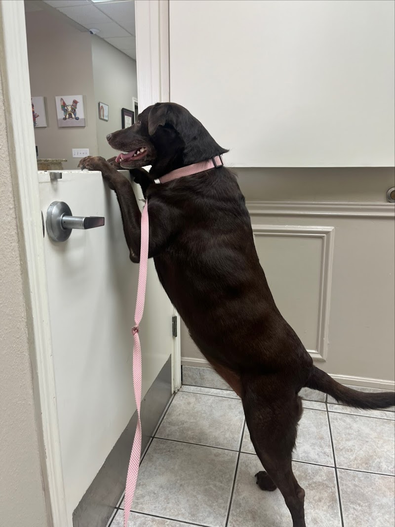 Family Pet Hospital of Stone Oak