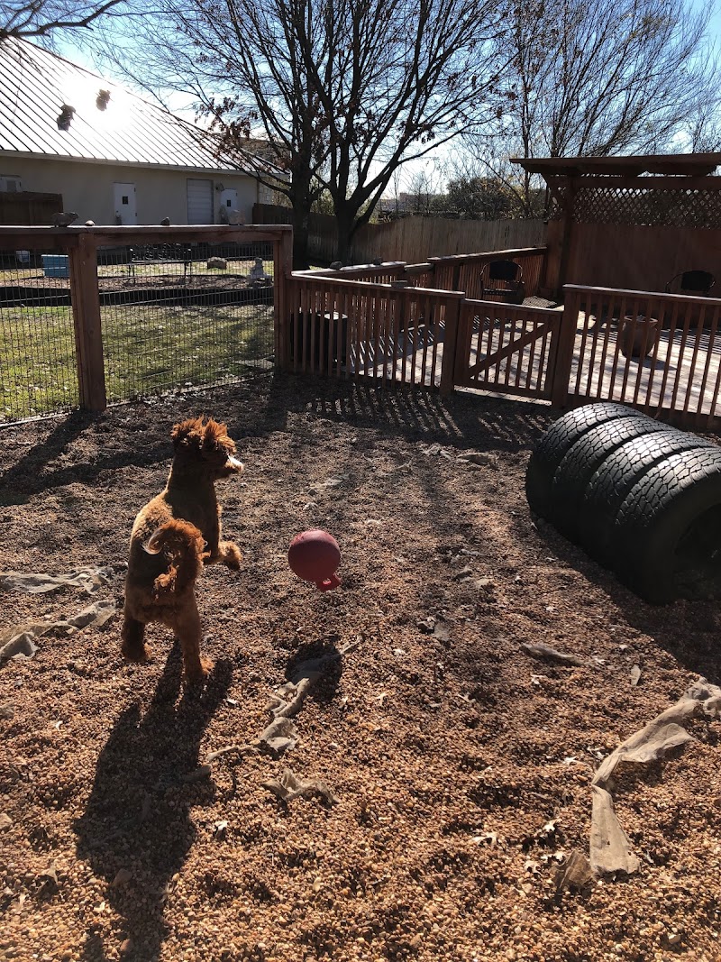 Family Pet Hospital of Stone Oak