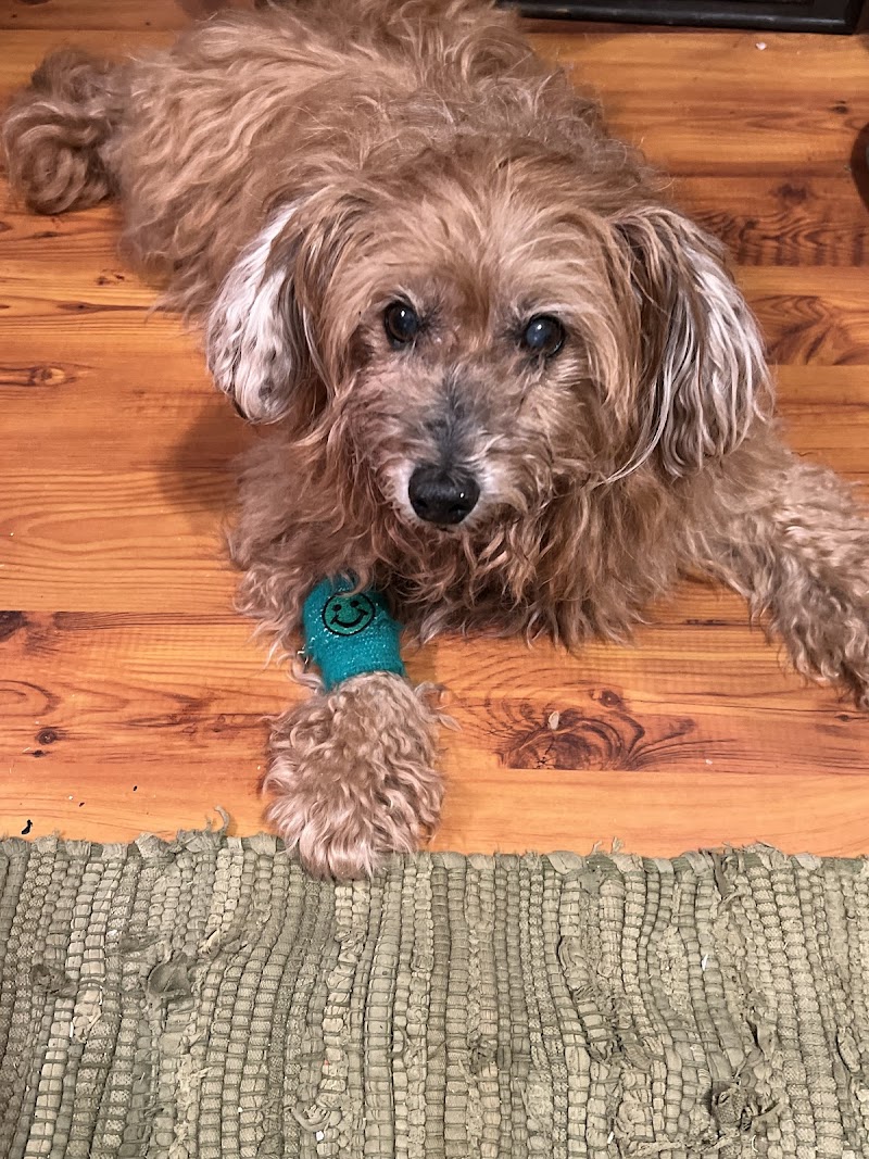 Montrose Veterinary Clinic
