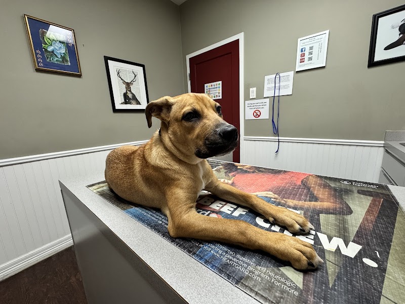 Montrose Veterinary Clinic