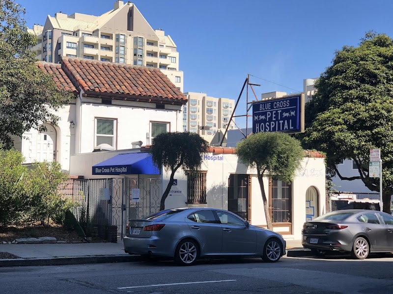 Blue Cross Pet Hospital