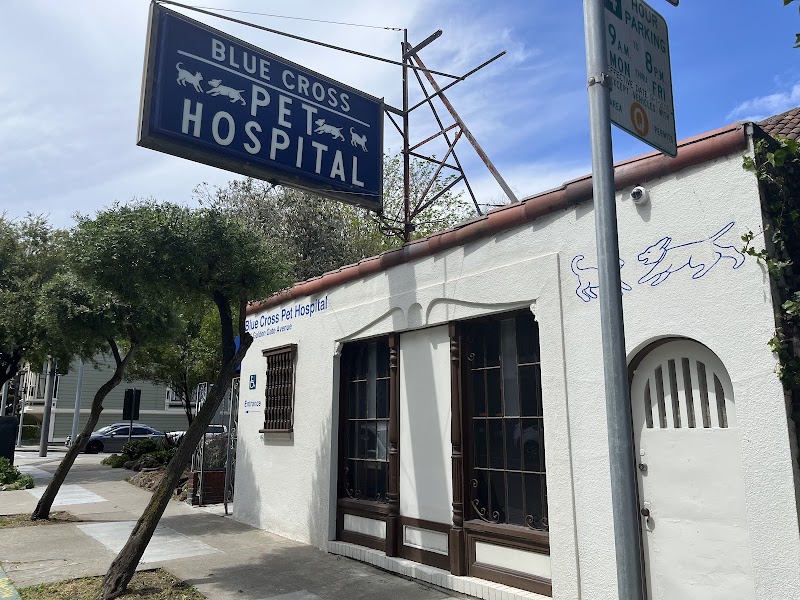 Blue Cross Pet Hospital
