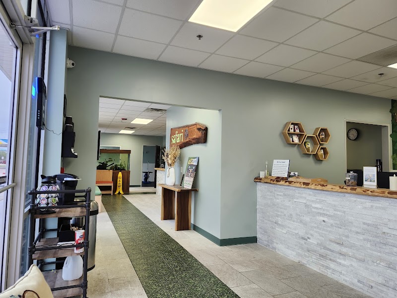 Safari Animal Hospital - Pearland