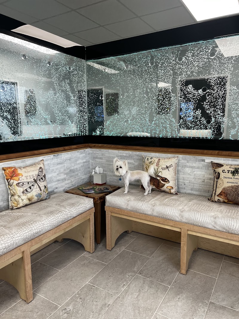 Safari Animal Hospital
