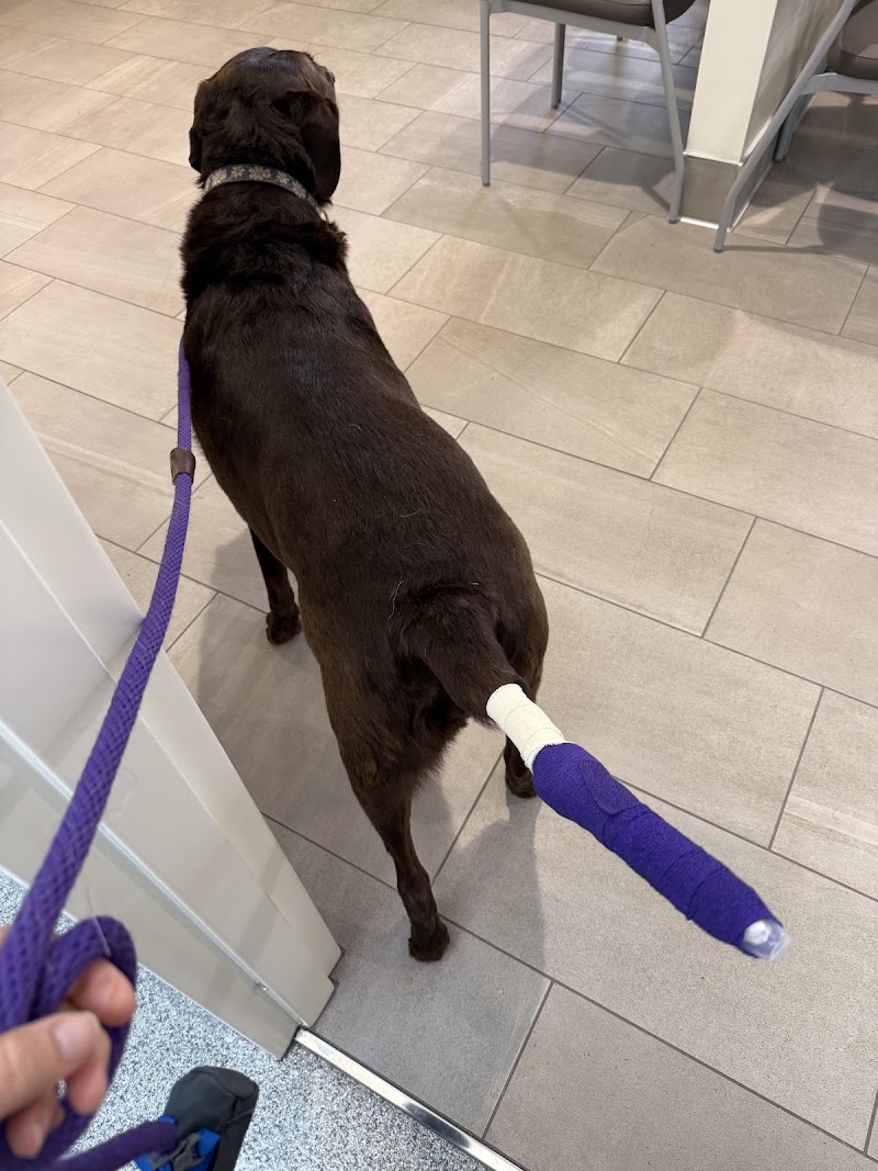 Metropolitan Veterinary Urgent Care and Specialty