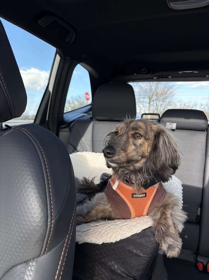 Metropolitan Veterinary Urgent Care and Specialty