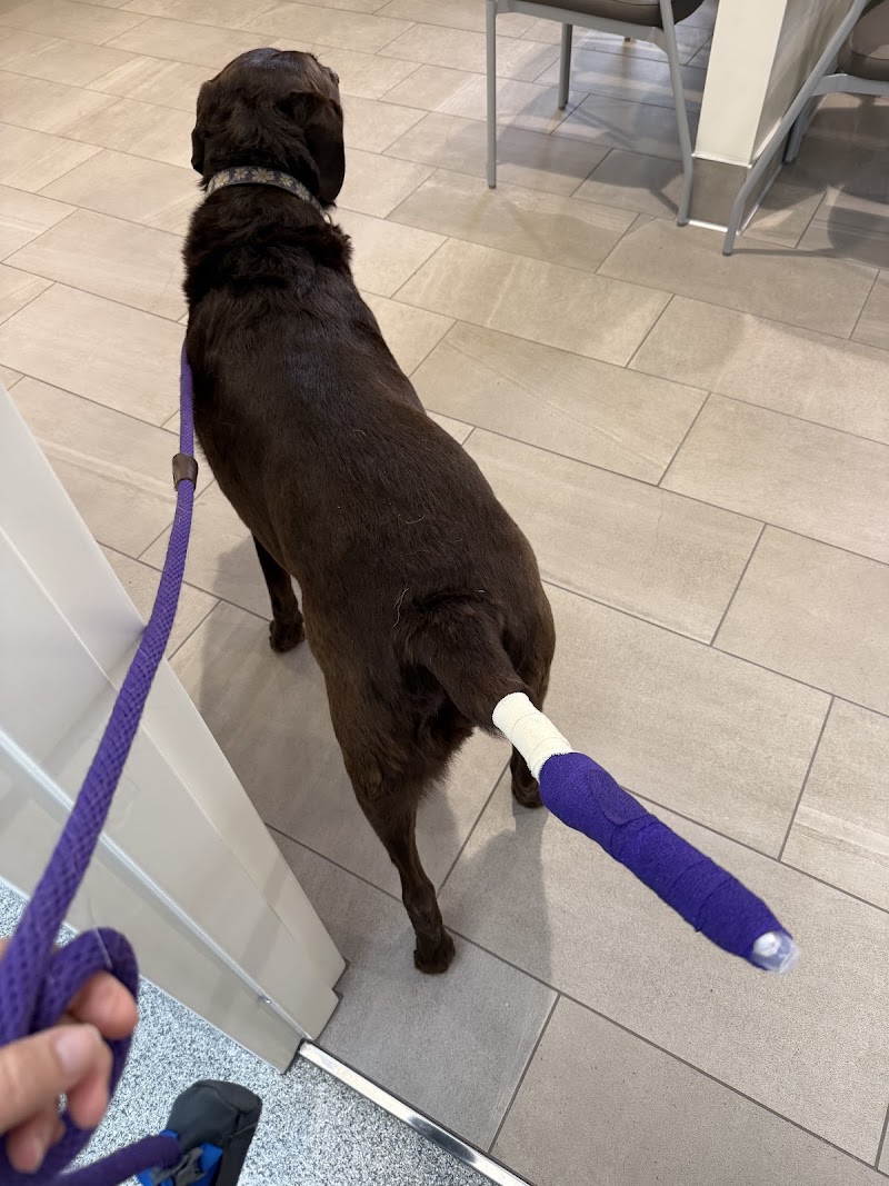 Metropolitan Veterinary Urgent Care and Specialty