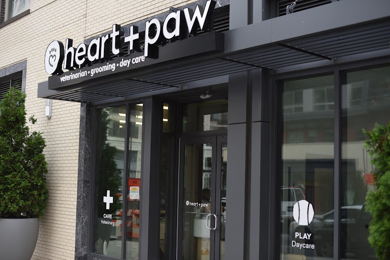 Heart + Paw - Philadelphia