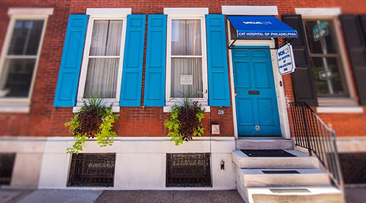 VCA Cat Hospital of Philadelphia