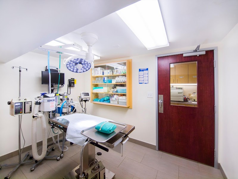 VCA Cat Hospital of Philadelphia