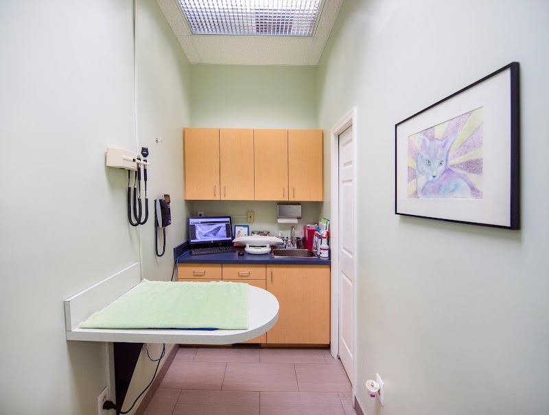 VCA Cat Hospital of Philadelphia