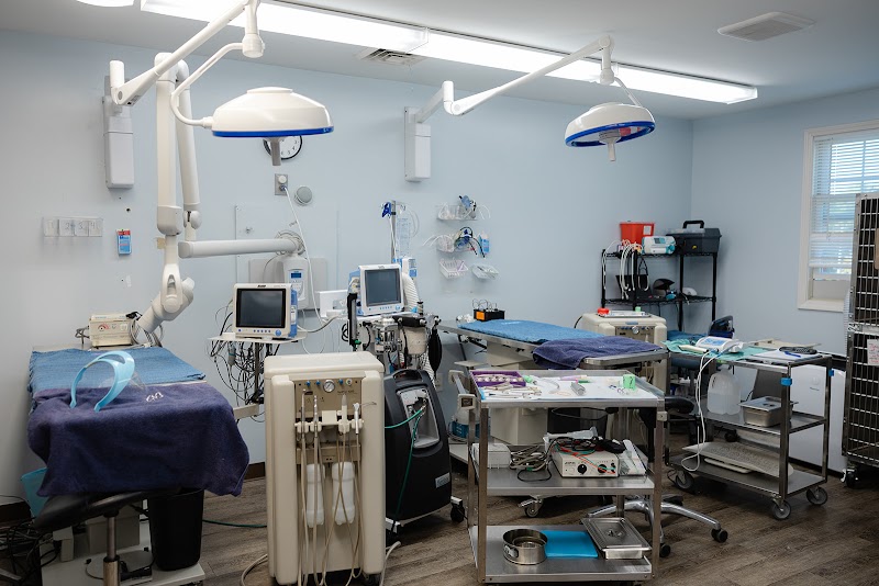 Hospital for Veterinary Dentistry and Oral Surgery