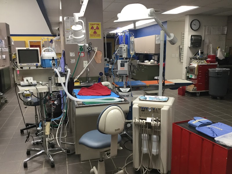 Hospital for Veterinary Dentistry and Oral Surgery