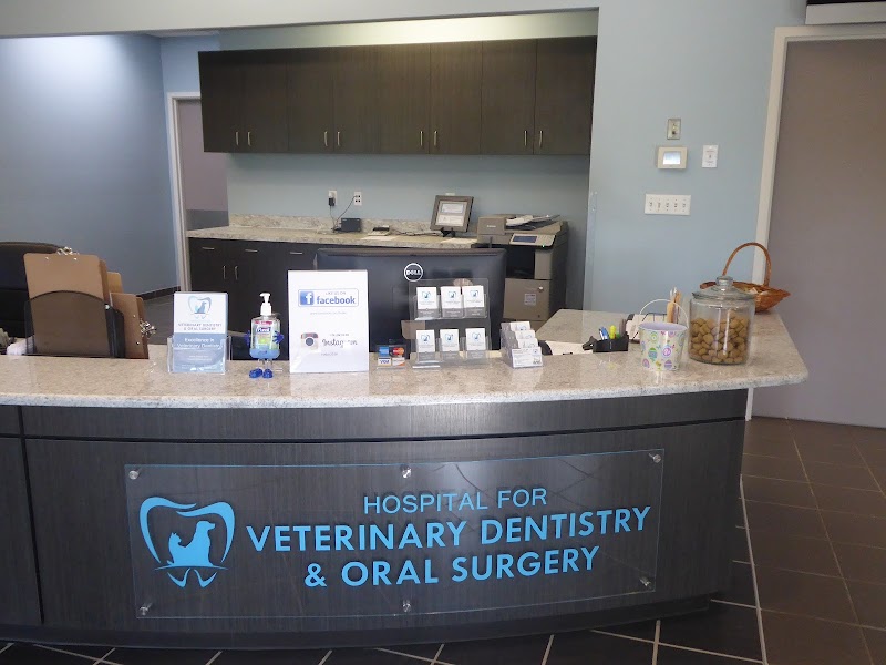 Hospital for Veterinary Dentistry and Oral Surgery