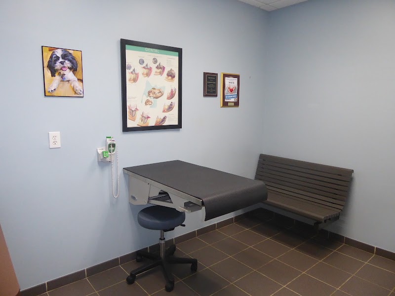 Hospital for Veterinary Dentistry and Oral Surgery