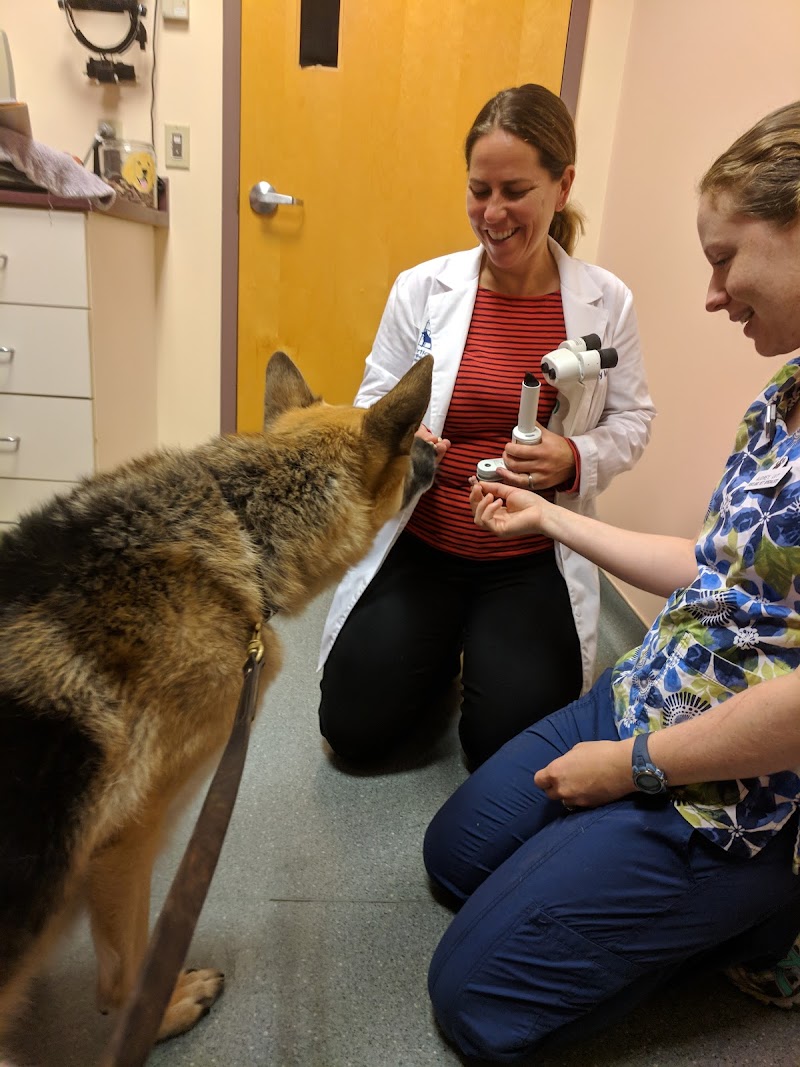 Portland Veterinary Emergency and Specialty Care (Dermatology Only)