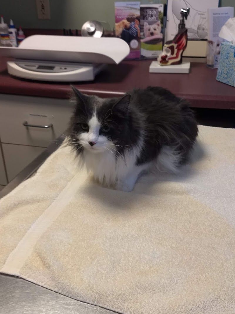Portland Veterinary Emergency and Specialty Care (Dermatology Only)