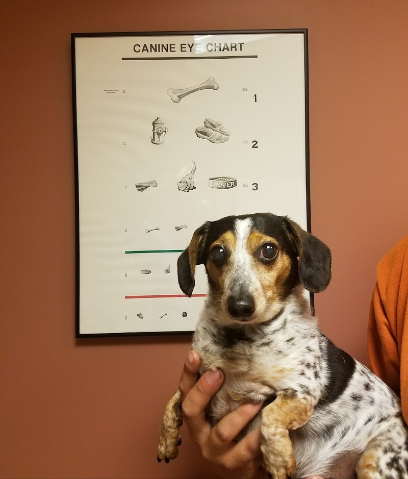 Portland Veterinary Emergency and Specialty Care (Dermatology Only)