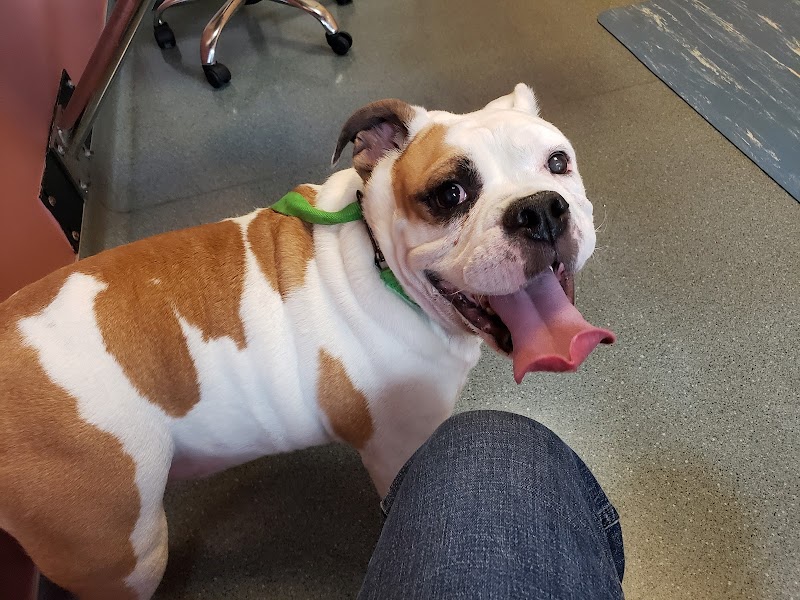 Portland Veterinary Emergency and Specialty Care (Dermatology Only)