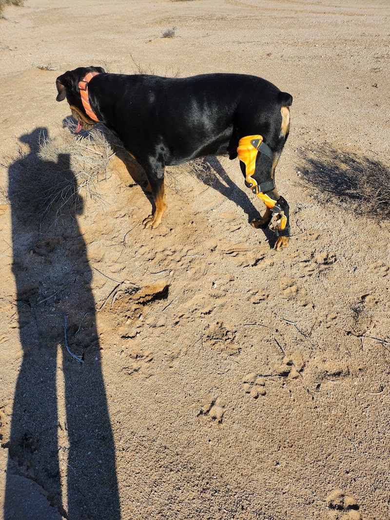 OrthoPets Veterinary Orthotics and Prosthetics Center