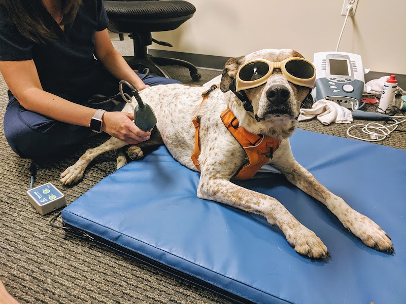 OrthoPets Veterinary Orthotics and Prosthetics Center