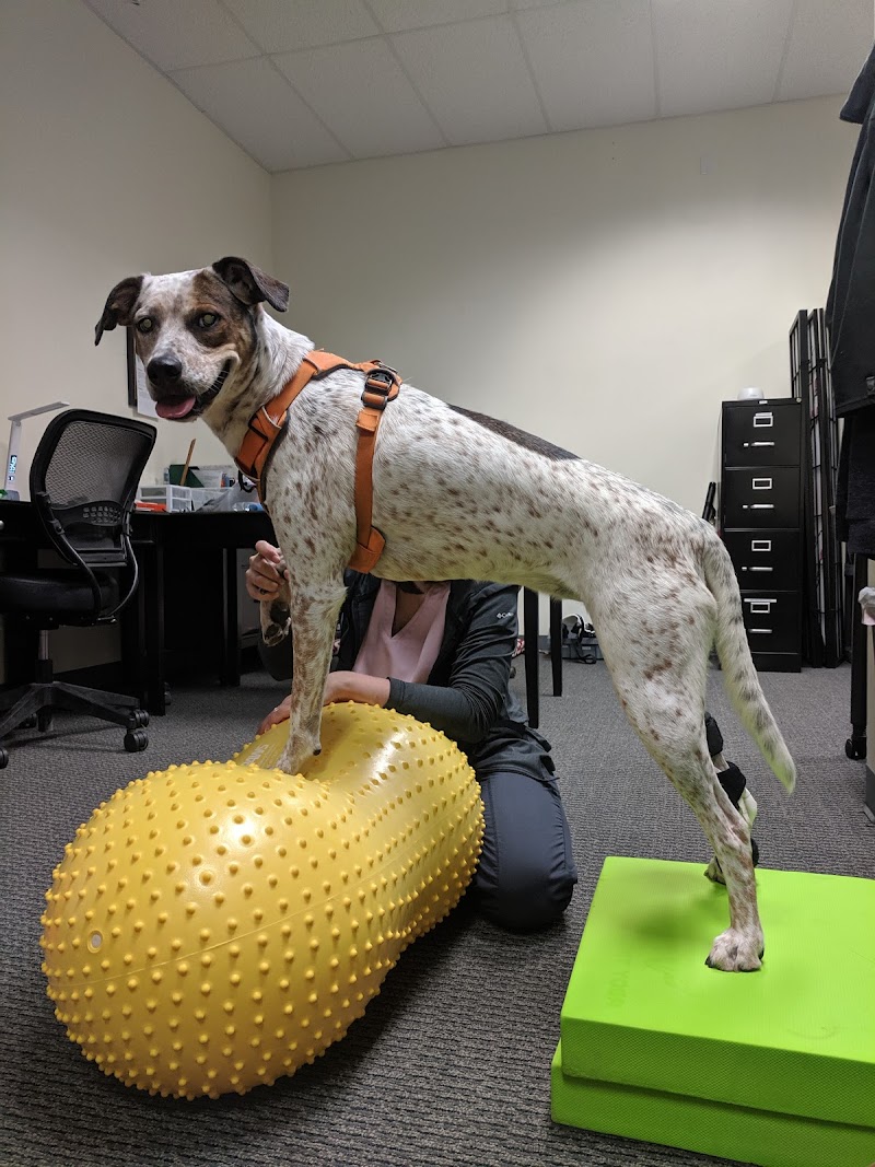 OrthoPets Veterinary Orthotics and Prosthetics Center