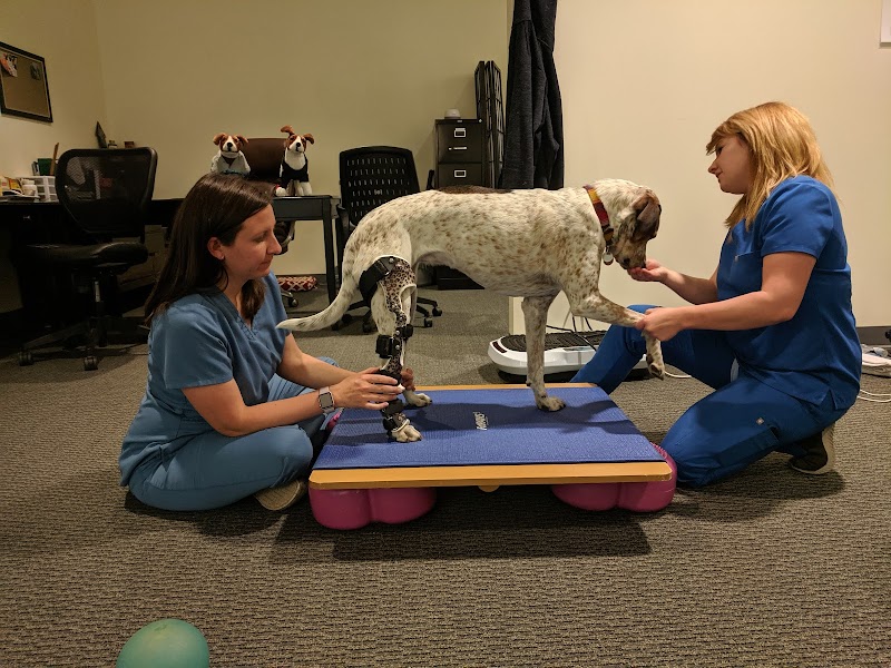 OrthoPets Veterinary Orthotics and Prosthetics Center