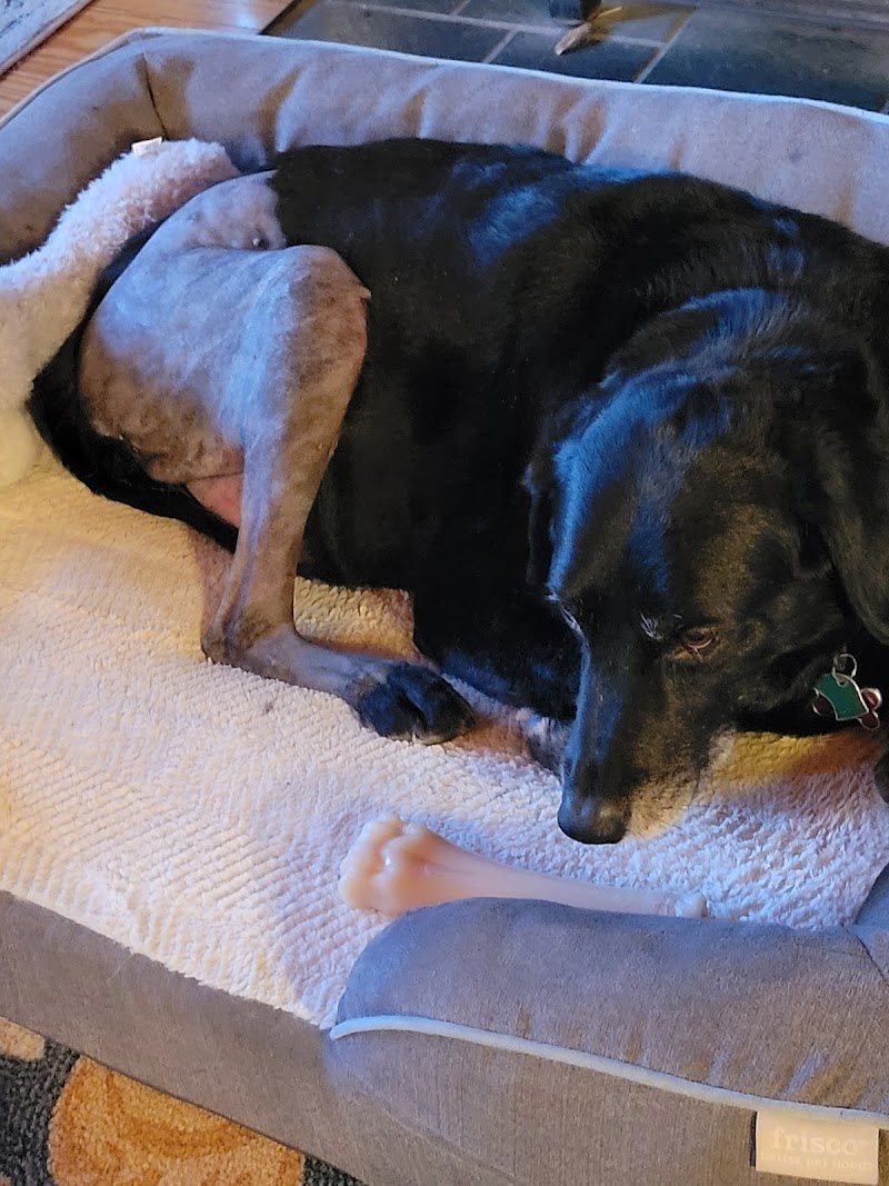 Boston West Veterinary Emergency & Specialty