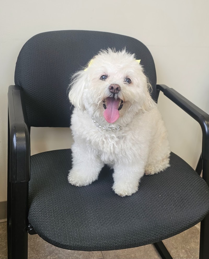 Boston West Veterinary Emergency & Specialty