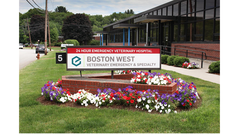 Boston West Veterinary Emergency & Specialty - Natick
