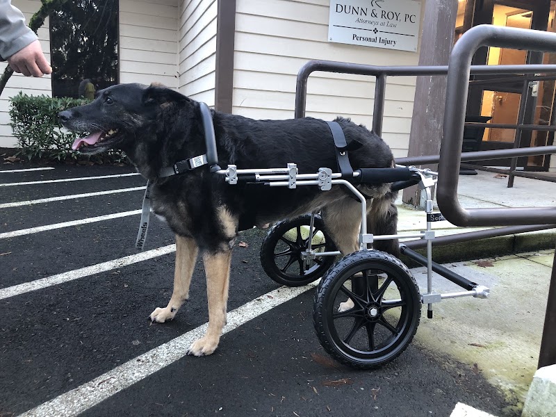 Healing Arts Animal Care