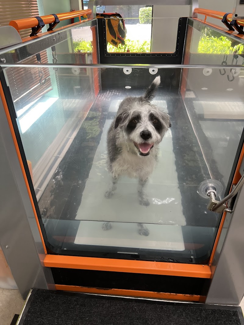 Healing Arts Animal Care