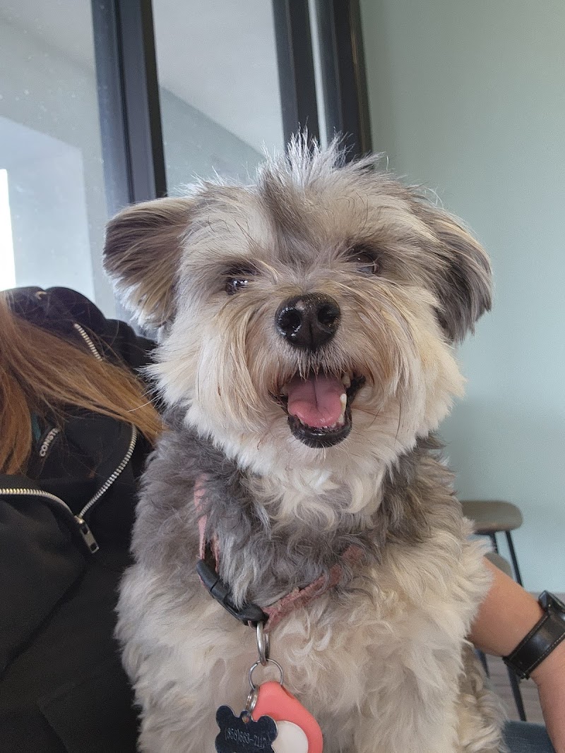 Del Norte Animal Hospital