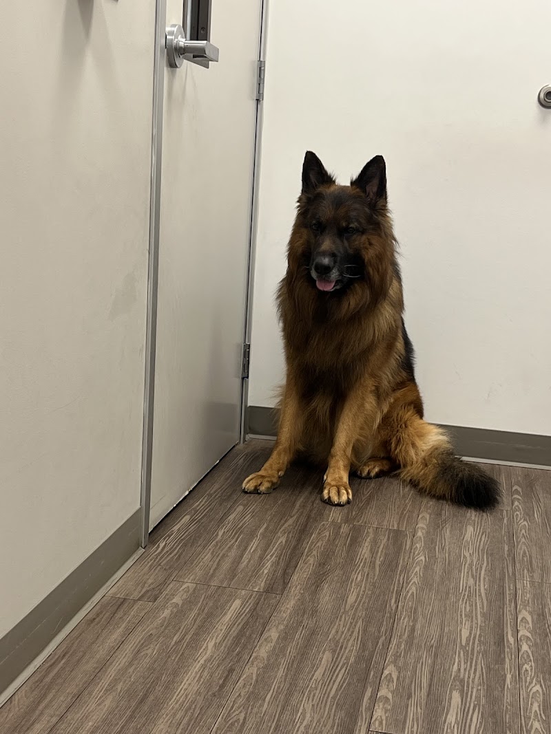 Del Norte Animal Hospital