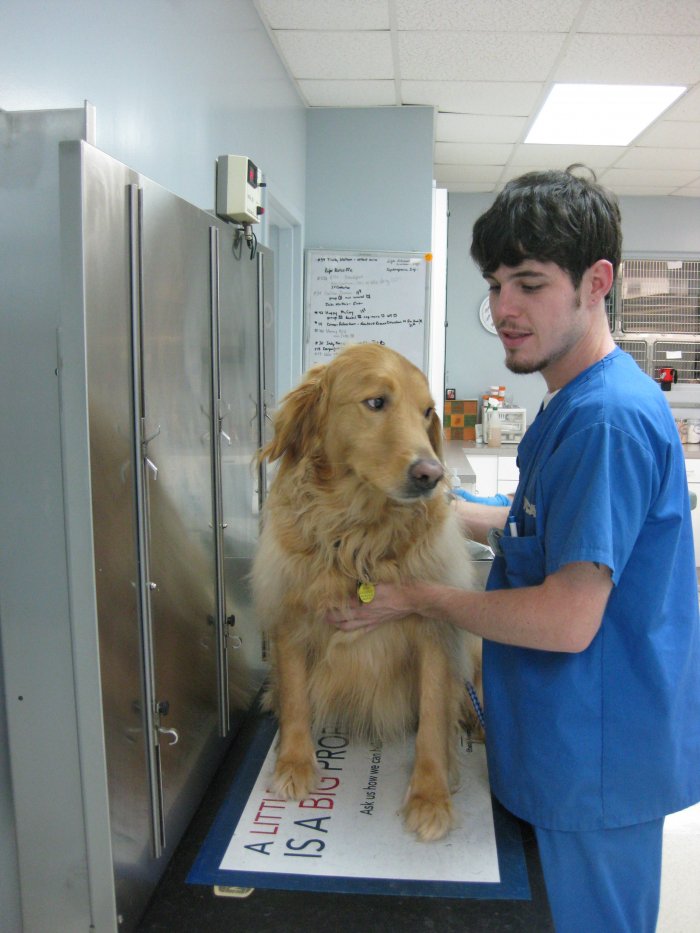 VCA Peachtree Animal Hospital