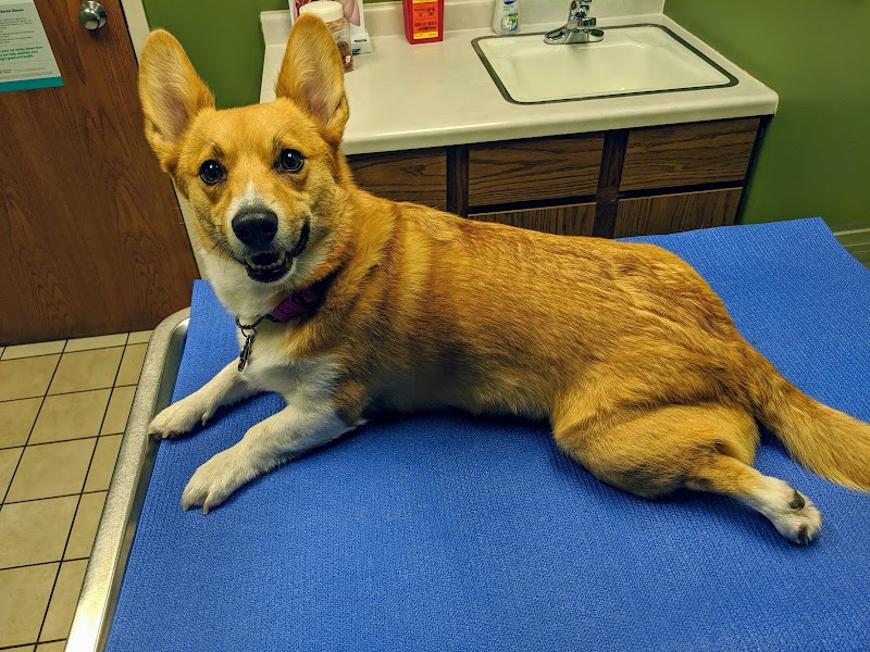 Bass Lake Pet Hospital