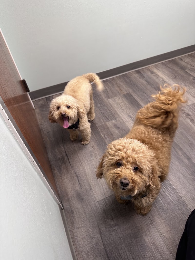 Bass Lake Pet Hospital