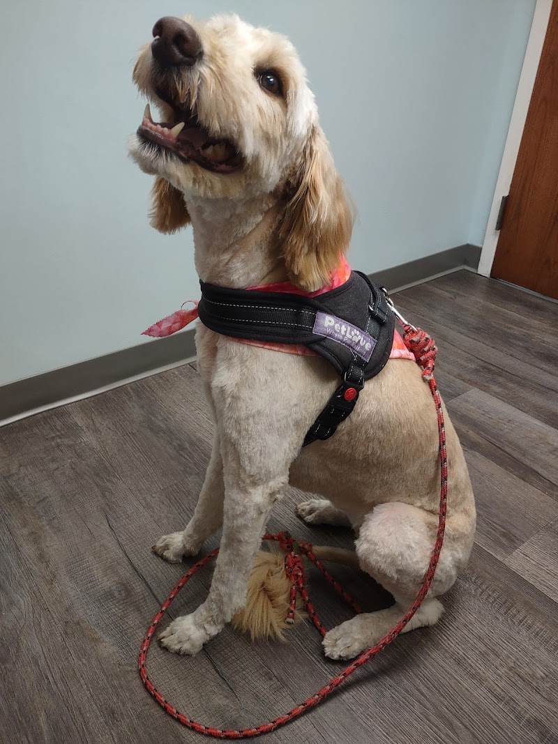Bass Lake Pet Hospital