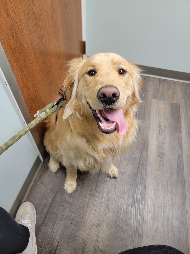 Bass Lake Pet Hospital