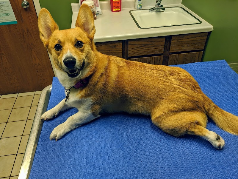 Bass Lake Pet Hospital
